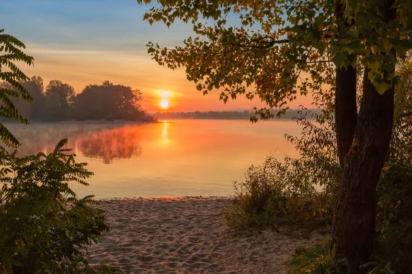 Lever Soleil Sur Rivière Plaine Avec Banc Sable Arbres Premier — Photo