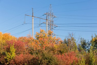 Betonarme direk ve çelik kafes yapıları iletim iki çeşitli havai enerji hatları üzerinden açık gökyüzü arka plan üzerinde sonbahar orman kule