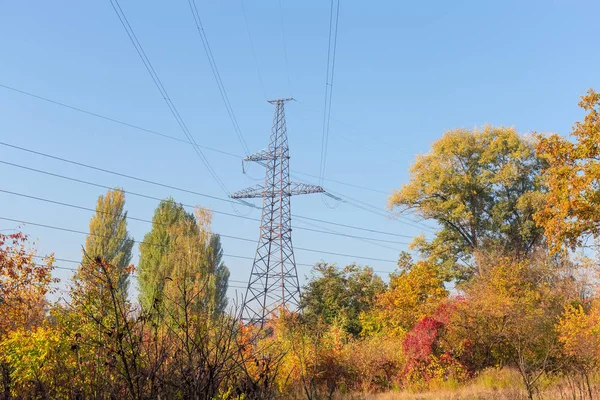 Stahlgittermast Der Freileitung Inmitten Des Herbstwaldes Vor Klarem Himmel — Stockfoto