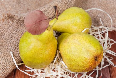 Olgun sarı armut tutuyordu, ahşap yünü ve koyu renkli ahşap plakalar yakın çekim yaprak ile