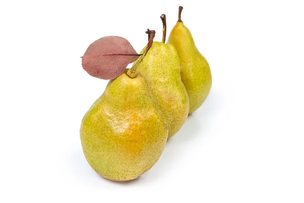 Ripe Yellow Pears Leaf Laid Out Row White Background Close — Stock Photo, Image