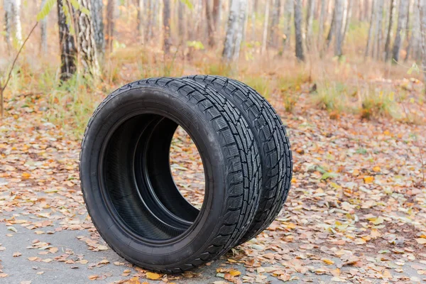 Dois Pneus Carro Inverno Com Piso Agressivo Assimétrico Fundo Turvo — Fotografia de Stock