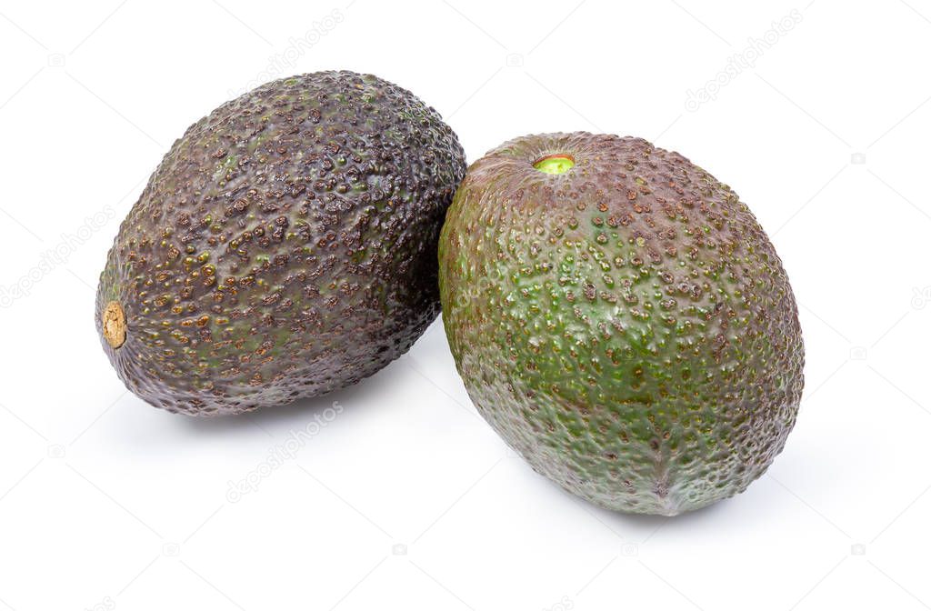 Two avocados with brown and green pebbled skin on a white background