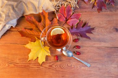 Siyah çay limon ile cam fincan tabak kaşık sonbahar ile eski rustik ahşap masa ile üzerinde yukarıdan çıkar, rose hips ve yükselen güneş ışığında kadın eşarp kurutulmuş