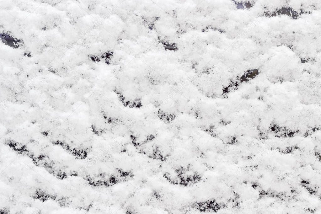 Background of texture of wet fluffy newly-fallen snow on a surface outdoor at cloudy winter day
