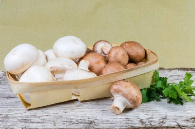 Küçük ahşap sepet ve maydanoz eski bir kırık ahşap yüzey üzerinde ekili ham beyaz ve kahverengi düğme mantar