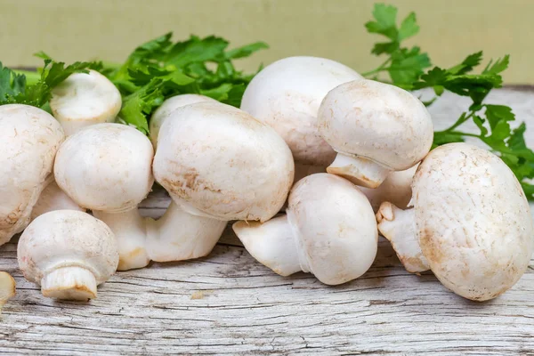 Cultivated raw white button mushrooms on background of parsley on an old cracked wooden surface at selective focus