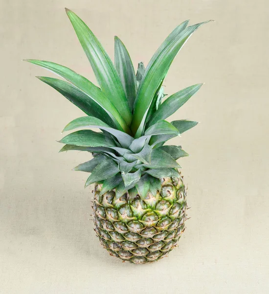 Top View Large Whole Fresh Ripe Pineapple Tuft Stiff Leaves — Stock Photo, Image