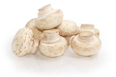 Küçük taze yığını beyaz düğme mantar beyaz bir arka plan üzerinde ekili