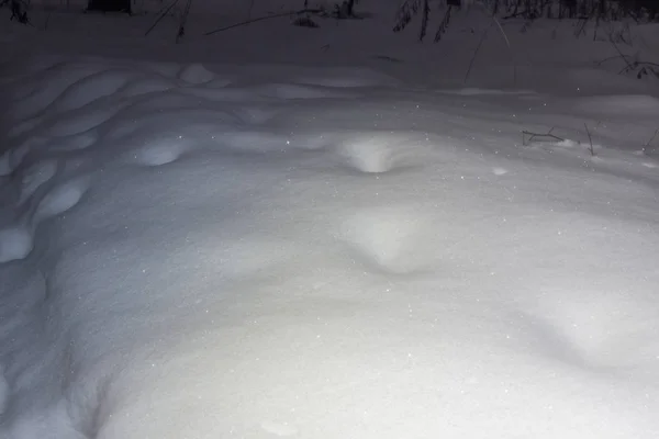 Partly lit surface area covered with newly-fallen fluffy sparkling snow in forest at night time