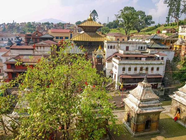 パシュパティナート ヒンドゥー教寺院の本堂 ネパール カトマンズ バグマティ川の左岸から東の入り口に表示します — ストック写真
