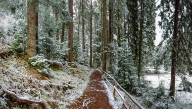 Erken ilkbaharda, Karpat Dağları Yeni yağmış kar dağ Gölü kıyısında doğal yolu ile orman Ahşap korkuluk Panoraması kaplı