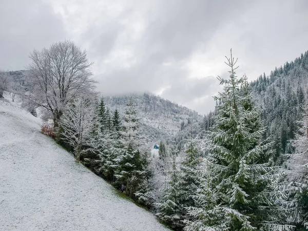 Bergdal Tijdens Sneeuwval Het Vroege Voorjaar Uitzicht Vanaf Helling Met — Stockfoto