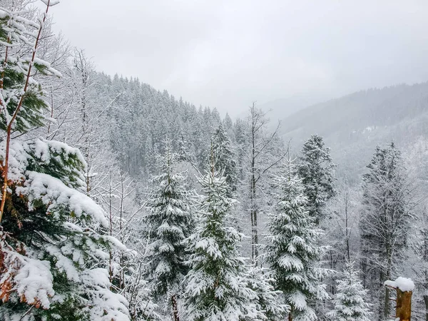 Berget Dalen Med Backarna Bevuxen Med Skog Snöfall Tidigt Våren — Stockfoto