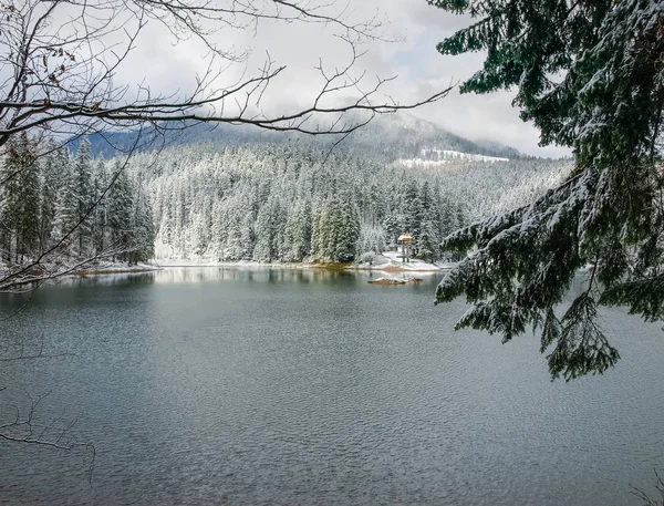 Montanha Lago Com Floresta Redor Coberto Com Neve Galhos Árvores — Fotografia de Stock