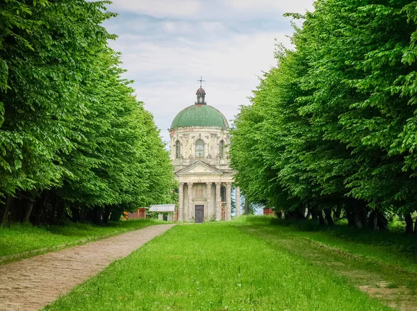 Церковь Святого Иосифа против липовой аллеи. Пидгирци, Украина — стоковое фото