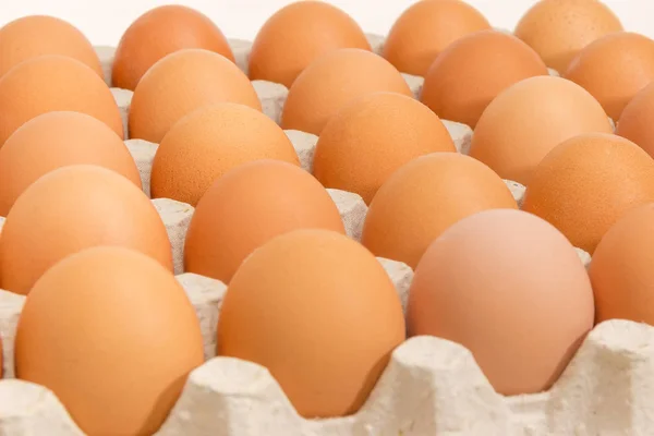 Bruna ägg i ägg fack närbild på selektivt fokus — Stockfoto