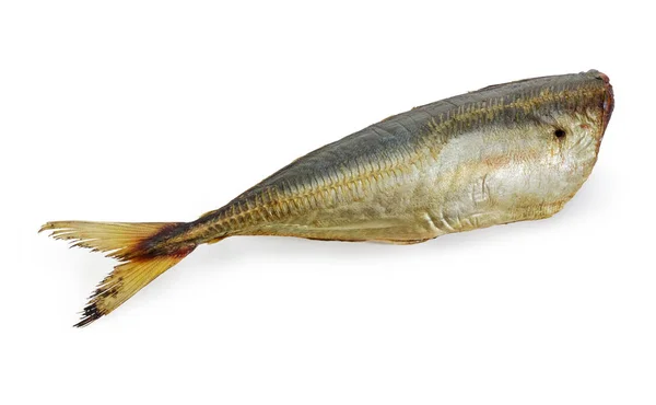 Smoked Atlantic horse mackerel without head on a white background — Stock Photo, Image