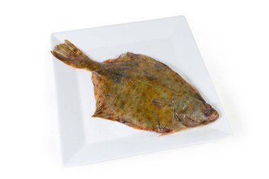 Kare tabak üzerinde beyaz bir arka plan üzerinde ham pisi balığı