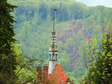Kale kule ormanıyla kaplı dağ yamacı karşı