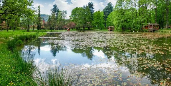 Озеро в парку, в долині гори, Карпати — стокове фото