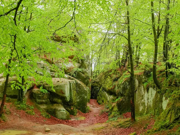 Skalní výchozy v lese, chráněná krajinná oblast Dovbush skály. Karpaty — Stock fotografie