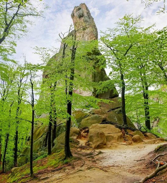 Jediný kámen v lese, chráněná krajinná oblast Dovbush skály. Karpaty — Stock fotografie