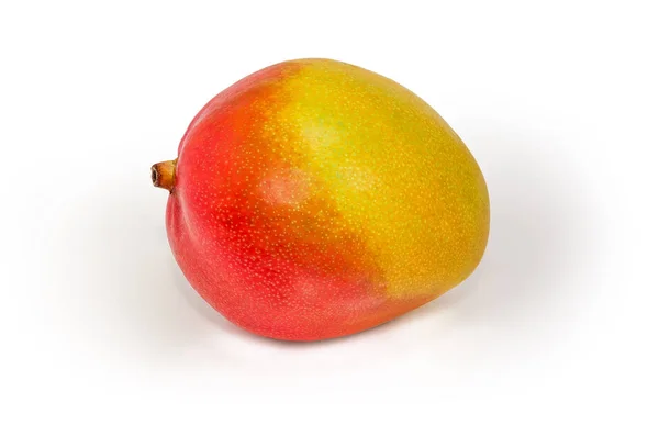 Fruta entera de mango sobre fondo blanco — Foto de Stock