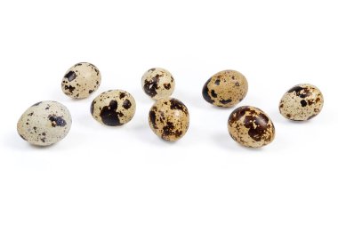 Beyaz arka planda bıldırcın yumurtaları.