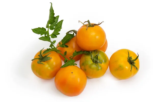 Haufen gelber Tomaten auf weißem Hintergrund — Stockfoto