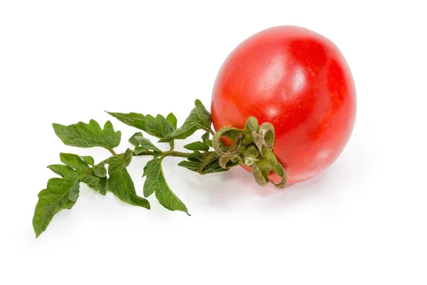 Tomate prune rouge avec feuille sur fond blanc — Photo