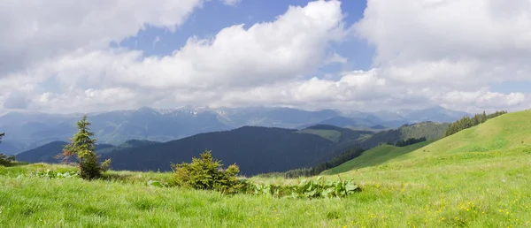 Cordilleras en las montañas Cárpatos en el día de verano —  Fotos de Stock