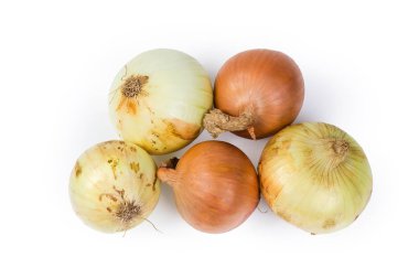 Genç ve geçen yılki soğan üst görünümü 