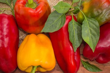 Dalları ve yaprakları ile çeşitli biber arka plan