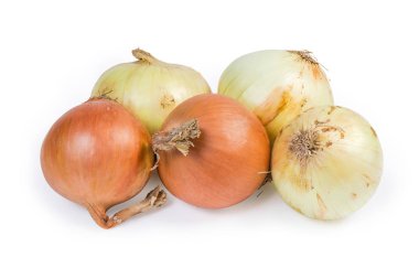 Beyaz bir arka planda genç ve eski ampul soğan