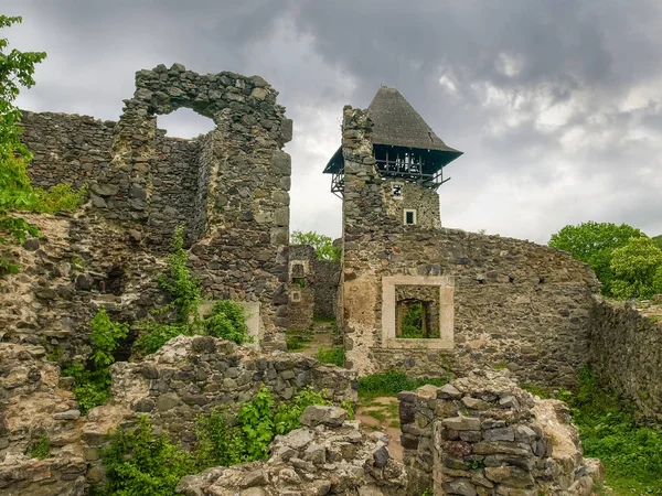 Ruinas del Castillo Nevytske, fragmento. Óblast de Zakarpattia, Ucrania — Foto de Stock