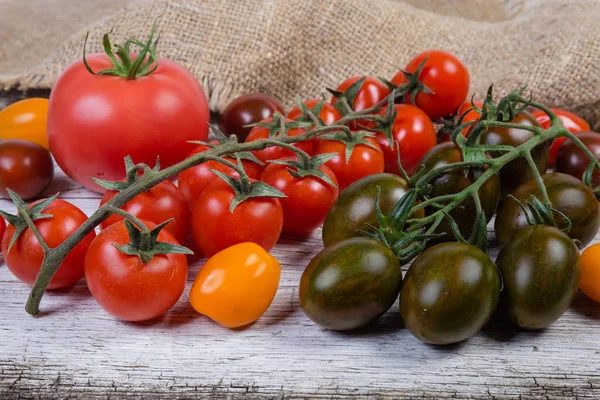 Tomates cerises de couleur variée, gros plan sur une tomate ordinaire — Photo