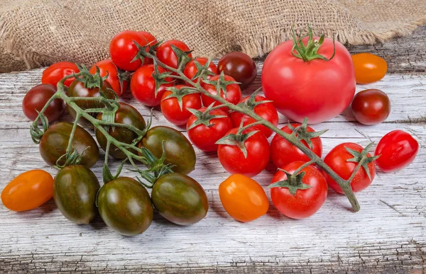 Tomates cerises de couleur variée, tomate ordinaire unique sur une vieille surface en bois — Photo