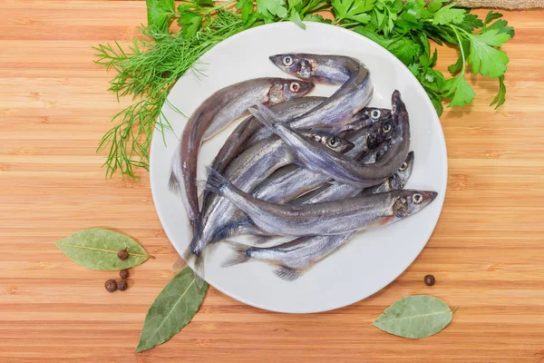 Top uitzicht van ongekookte lodde op schotel onder greens, specerijen — Stockfoto