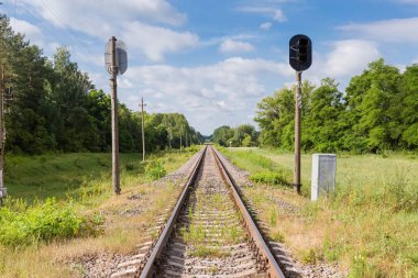 Ormanda trafik ışıkları ile tek modern demiryolu rayları