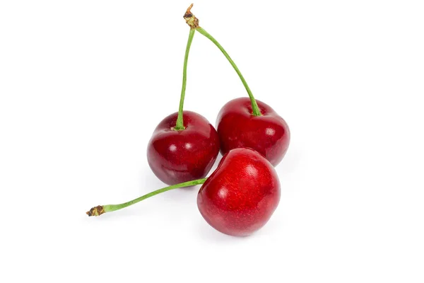 Три красных сладких вишни со стеблями на белом фоне — стоковое фото