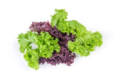 Red and green lettuce leaves on a white background clipart