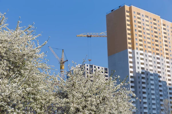 Multi story houses under construction, building cranes, flowering trees — Stock Photo, Image