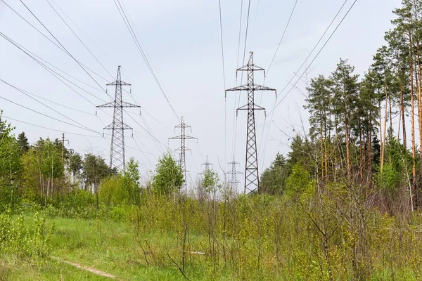 Linhas aéreas de energia entre a floresta de primavera — Fotografia de Stock