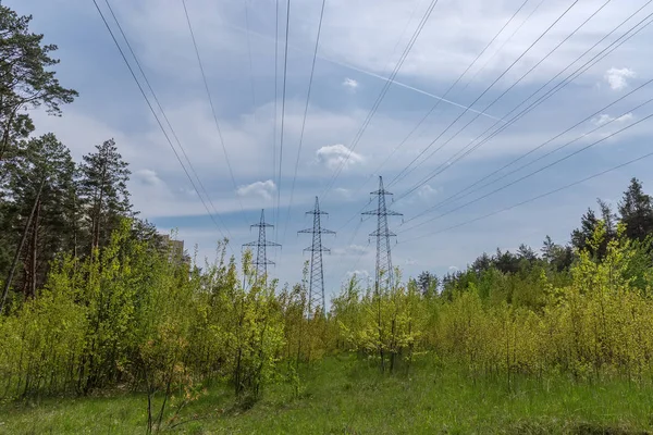 春の森の間の架空送電線 — ストック写真