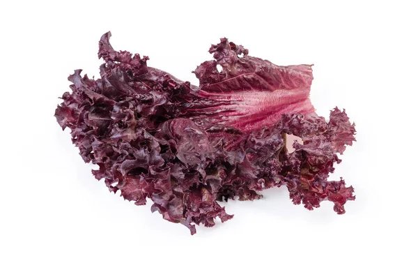 Leaf of red lettuce Lollo Rosso on a white background — Stock Photo, Image