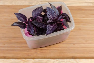 Ahşap bir yüzey üzerinde plastik kapta mor fesleğen