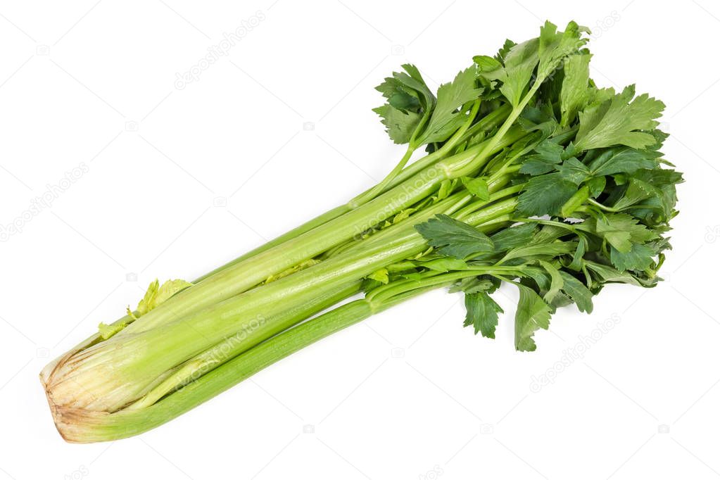 Fresh green celery stalks on a white background