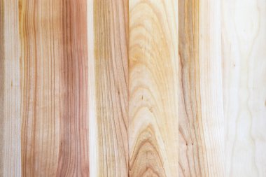 Dişbudak tahta yüzeyi arka 