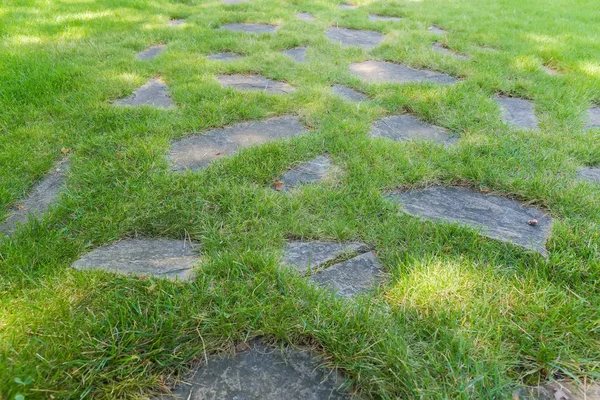 Prato con pietre piatte disposte tra l'erba — Foto Stock